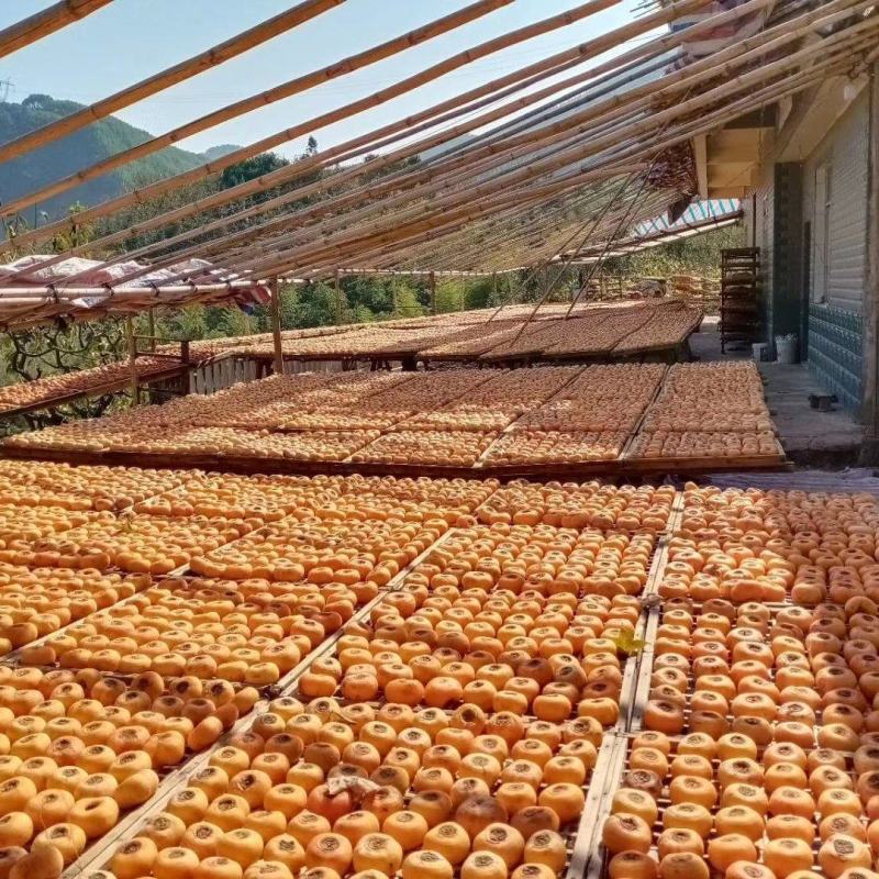 广西柿饼大量上市便宜大量有货中大柿饼大量电商柿饼大量