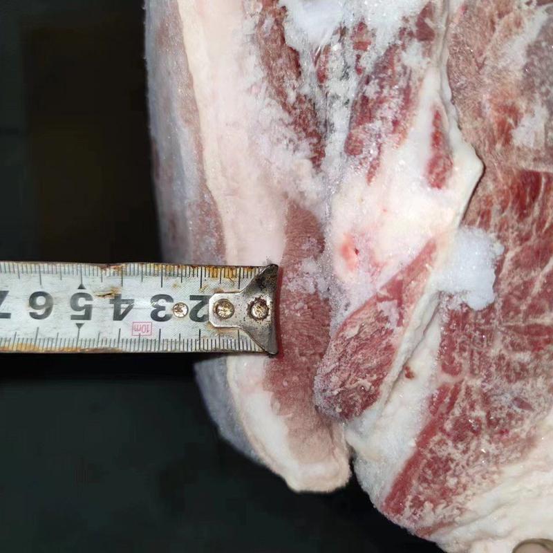 带皮五花肉手续齐全现货品质保障猪副产品