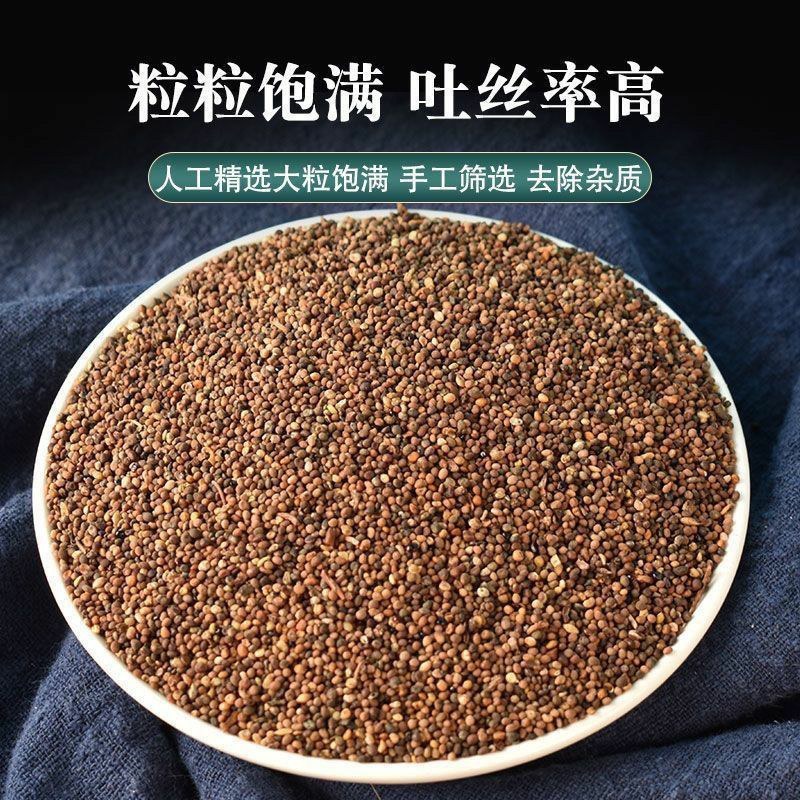 菟丝子野生内蒙小菟丝子男人干净无硫可泡茶菟丝子二斤包邮