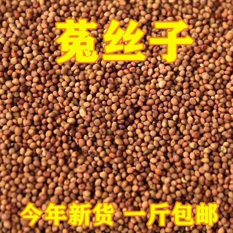 菟丝子野生内蒙小菟丝子男人干净无硫可泡茶菟丝子二斤包邮