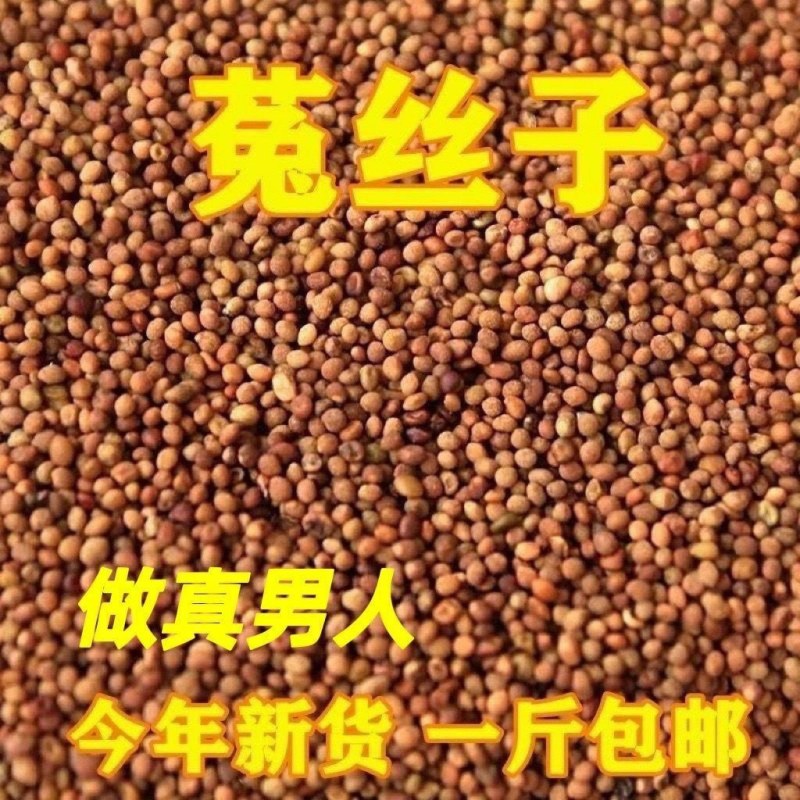 菟丝子野生内蒙小菟丝子男人干净无硫可泡茶菟丝子二斤包邮