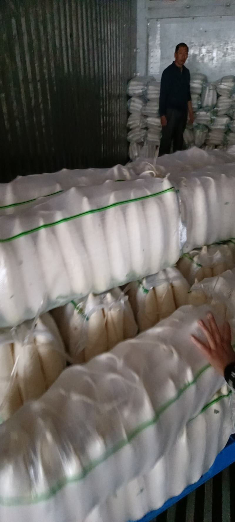 白萝卜已经上市欢迎新老客户选购，