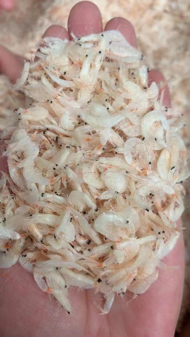 虾米