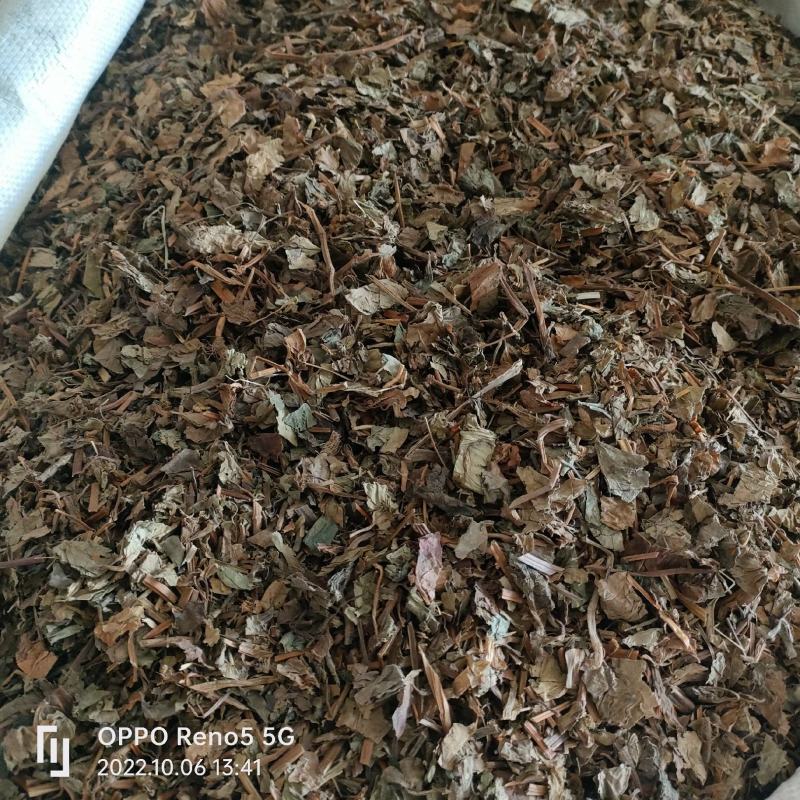 （热销）鱼腥草产地四川产地大货量多从优实物拍摄祥泰药材