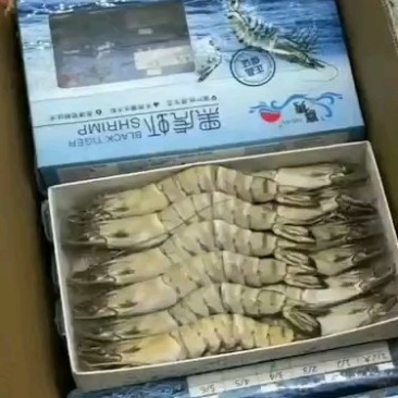 黑虎虾