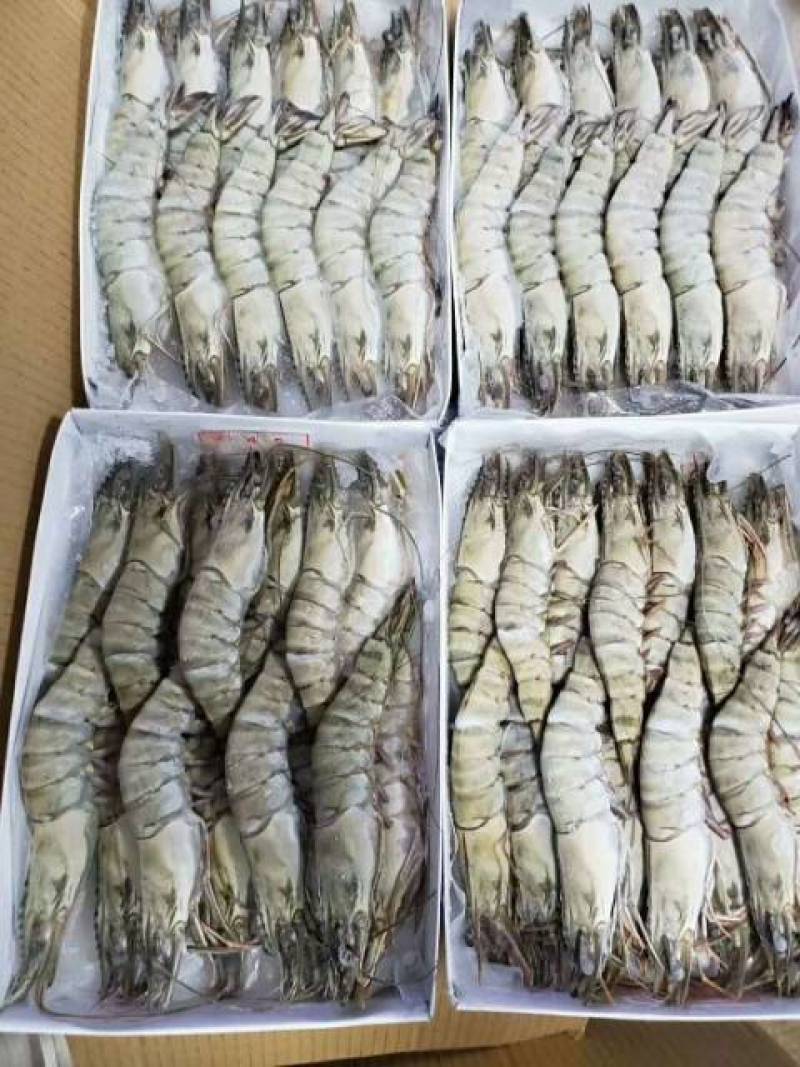 黑虎虾