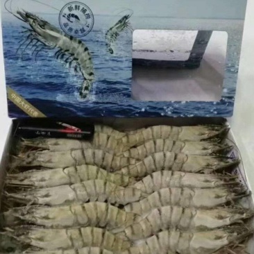草虾