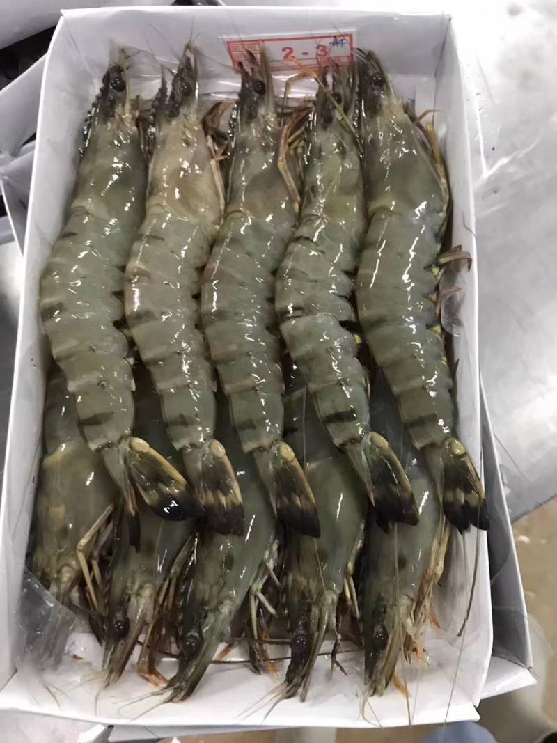 草虾