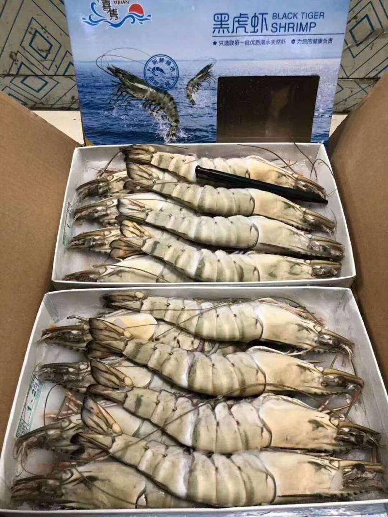 虾