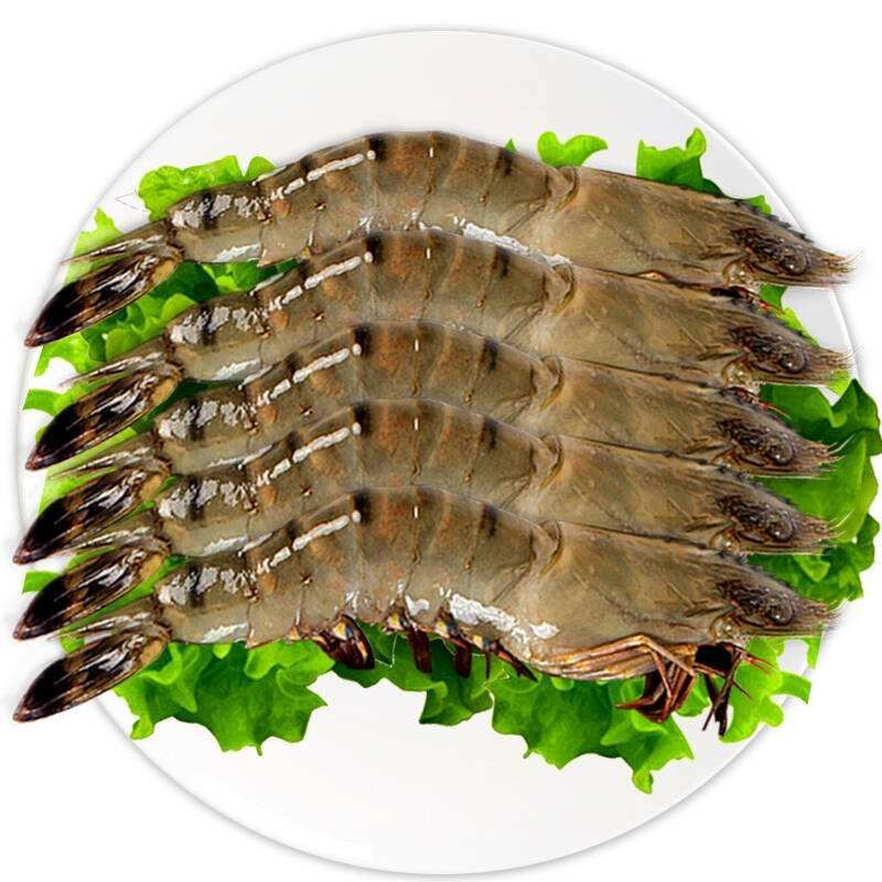 虾