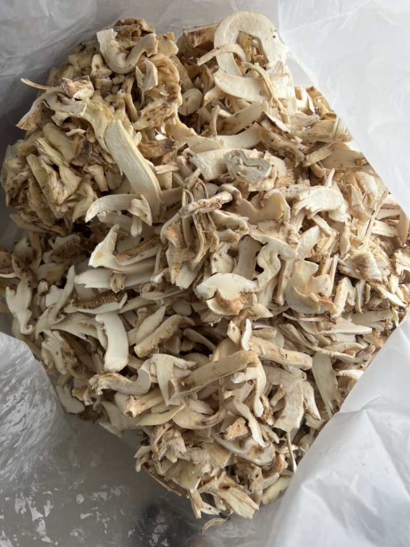 冰冻香格里拉松茸云南特产松茸菌菇