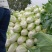 白菜，花菜，辣椒