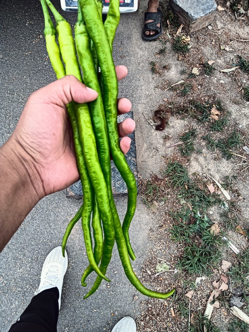 白菜，花菜，辣椒