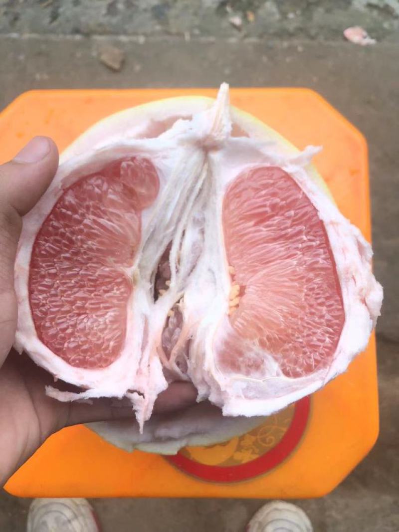 精品哦，，还没有联系我的搞快点哦，，，，不干水，，，皮薄