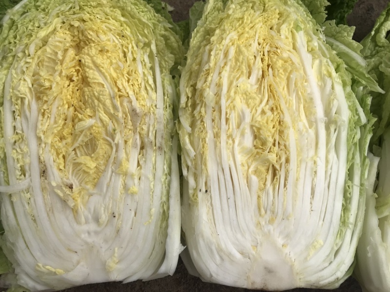 大白菜