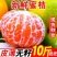包邮）橘子新鲜蜜橘薄皮桔子高山蜜桔农家青皮无籽柑当季水果