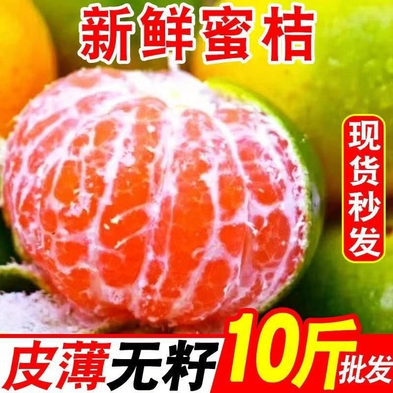 包邮）橘子新鲜蜜橘薄皮桔子高山蜜桔农家青皮无籽柑当季水果