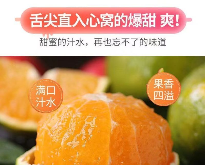 包邮）橘子新鲜蜜橘薄皮桔子高山蜜桔农家青皮无籽柑当季水果