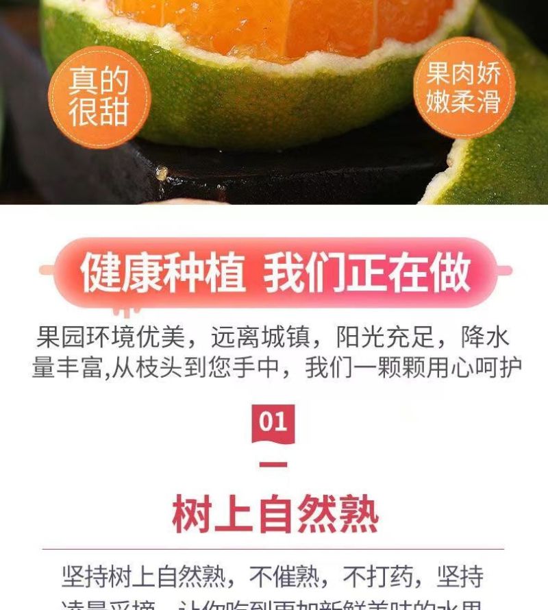 包邮）橘子新鲜蜜橘薄皮桔子高山蜜桔农家青皮无籽柑当季水果