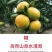 包邮）橘子新鲜蜜橘薄皮桔子高山蜜桔农家青皮无籽柑当季水果