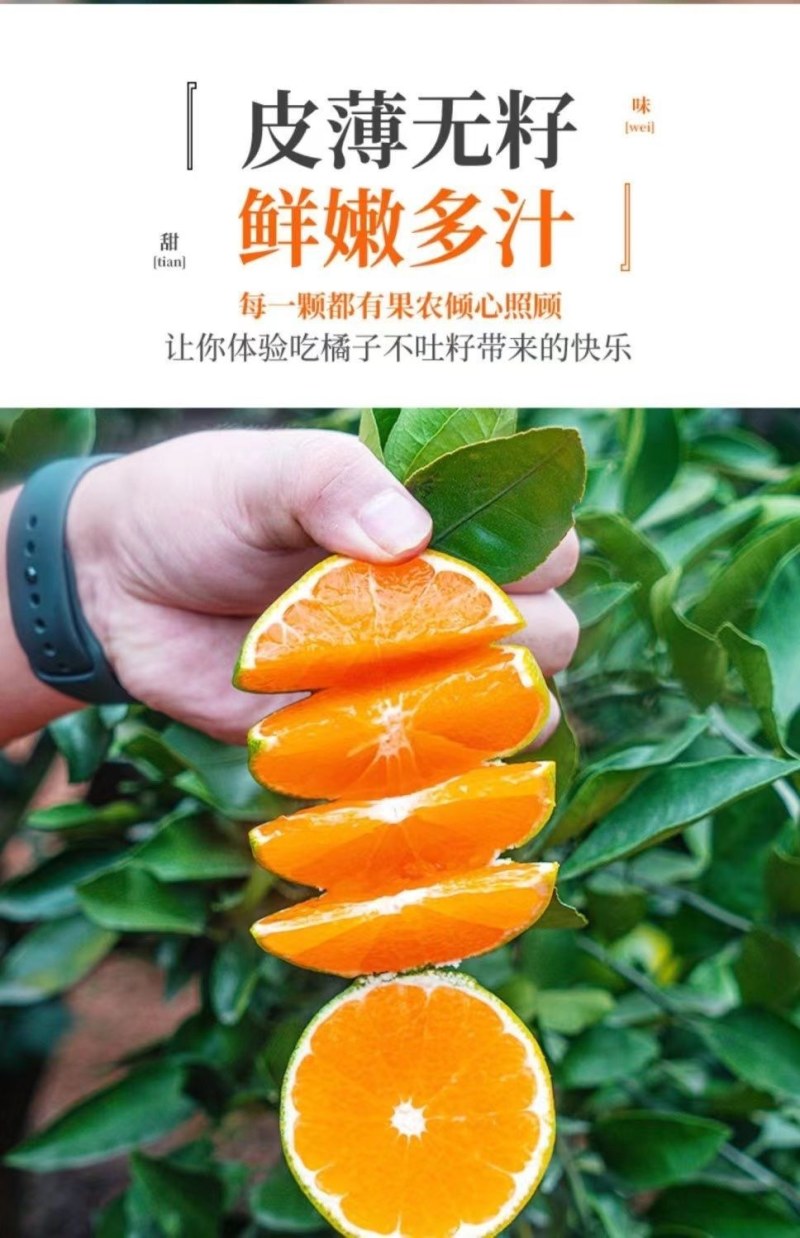 包邮）橘子新鲜蜜橘薄皮桔子高山蜜桔农家青皮无籽柑当季水果