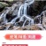 包邮）橘子新鲜蜜橘薄皮桔子高山蜜桔农家青皮无籽柑当季水果