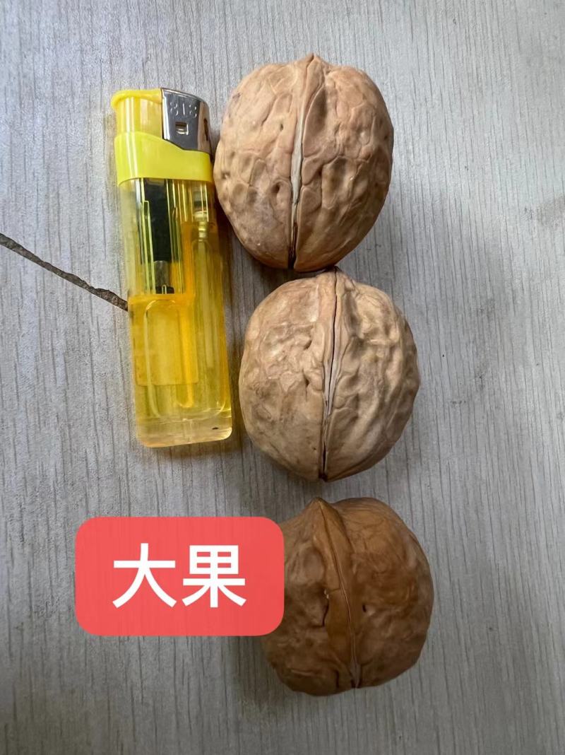 新疆薄壳核桃，果肉非常饱满，无苦涩味，味道香甜