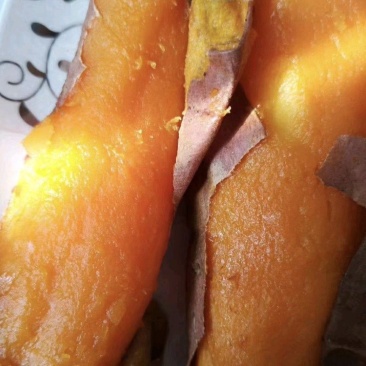 蜜薯红薯烟薯地瓜糖化口感佳条形好对接电商微商