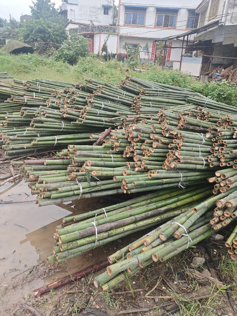 竹竿竹片