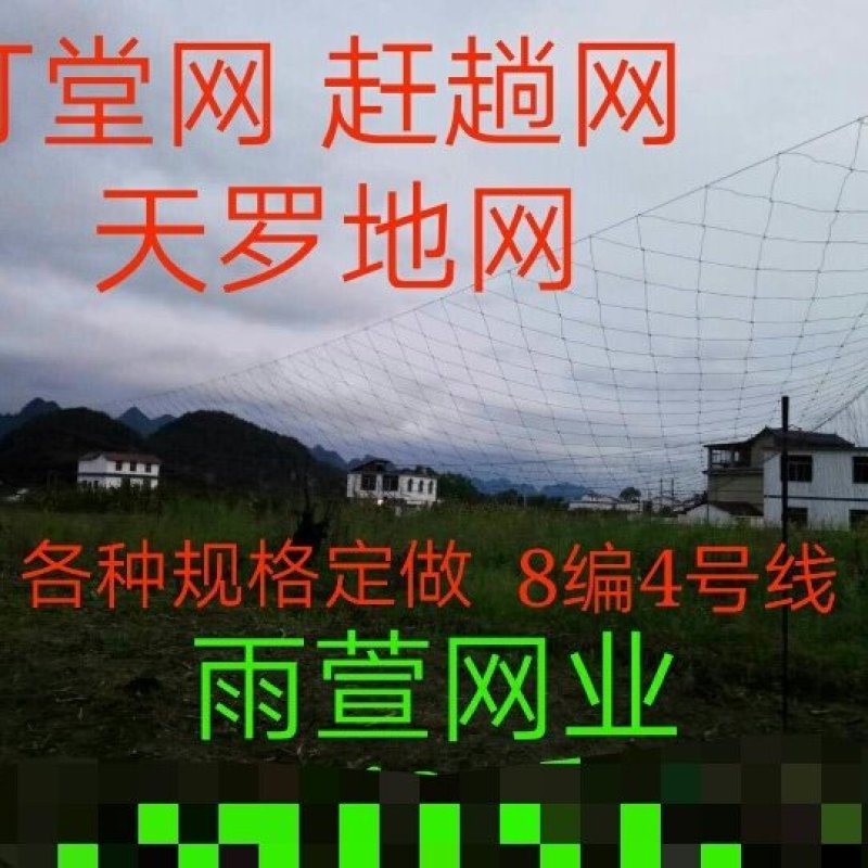 赶堂网打堂网天罗地网大力马线8编4号咖啡色