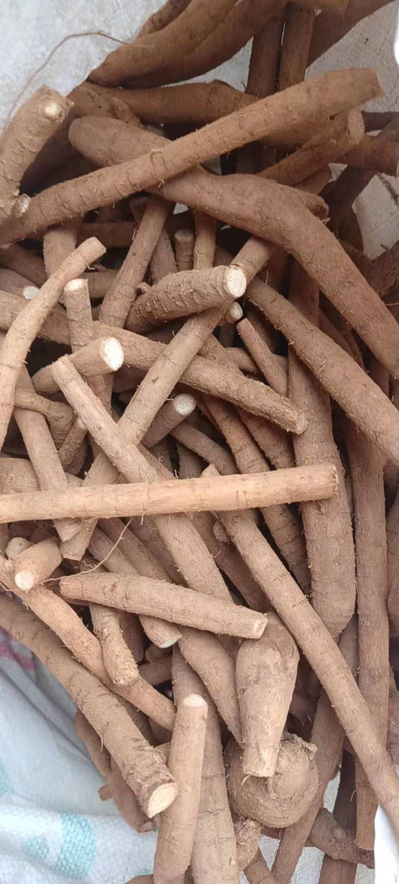 新鲜牛大力，小叶统货，小叶次牛，黄皮，煲汤泡酒口味甘甜