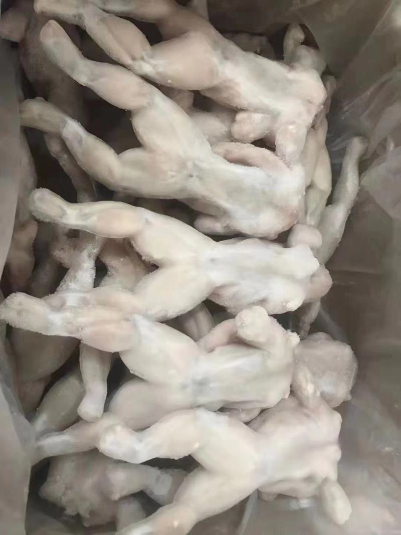 鲜冻大个牛蛙
