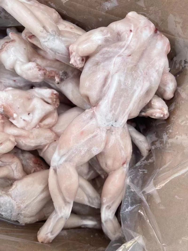鲜冻大个牛蛙