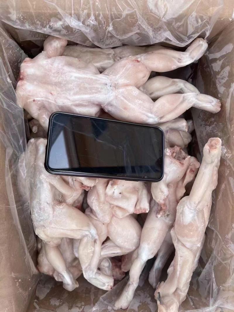 鲜冻大个牛蛙