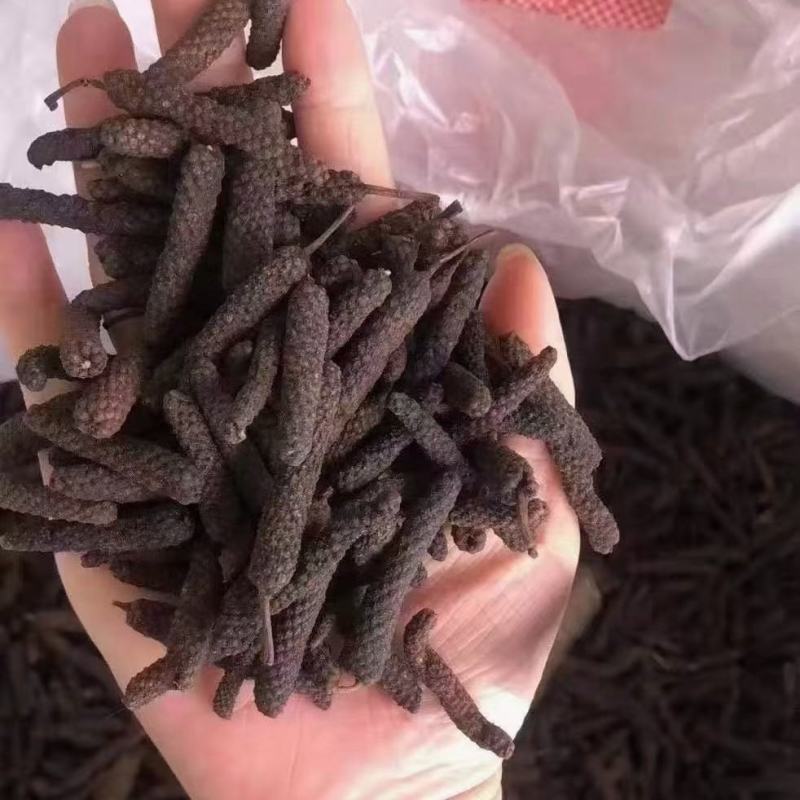 【精品荜茇推荐】荜茇荜拨荜卜毕卜香辛料大全