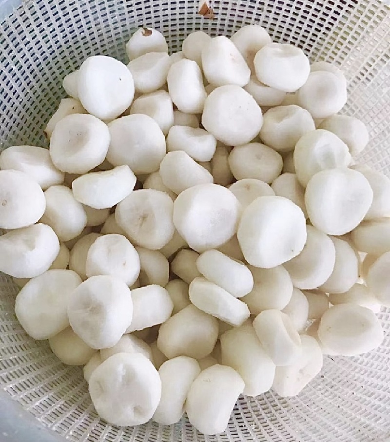 活动来了马蹄现修现包装发货保证质量新鲜农家蔬菜水果