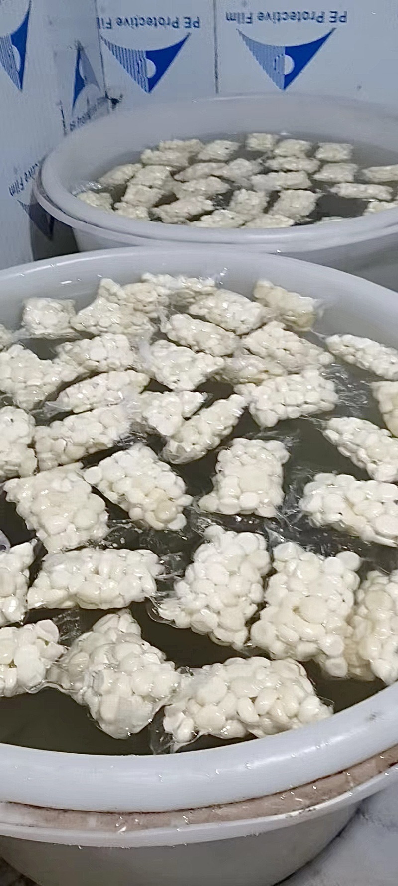 活动来了马蹄现修现包装发货保证质量新鲜农家蔬菜水果