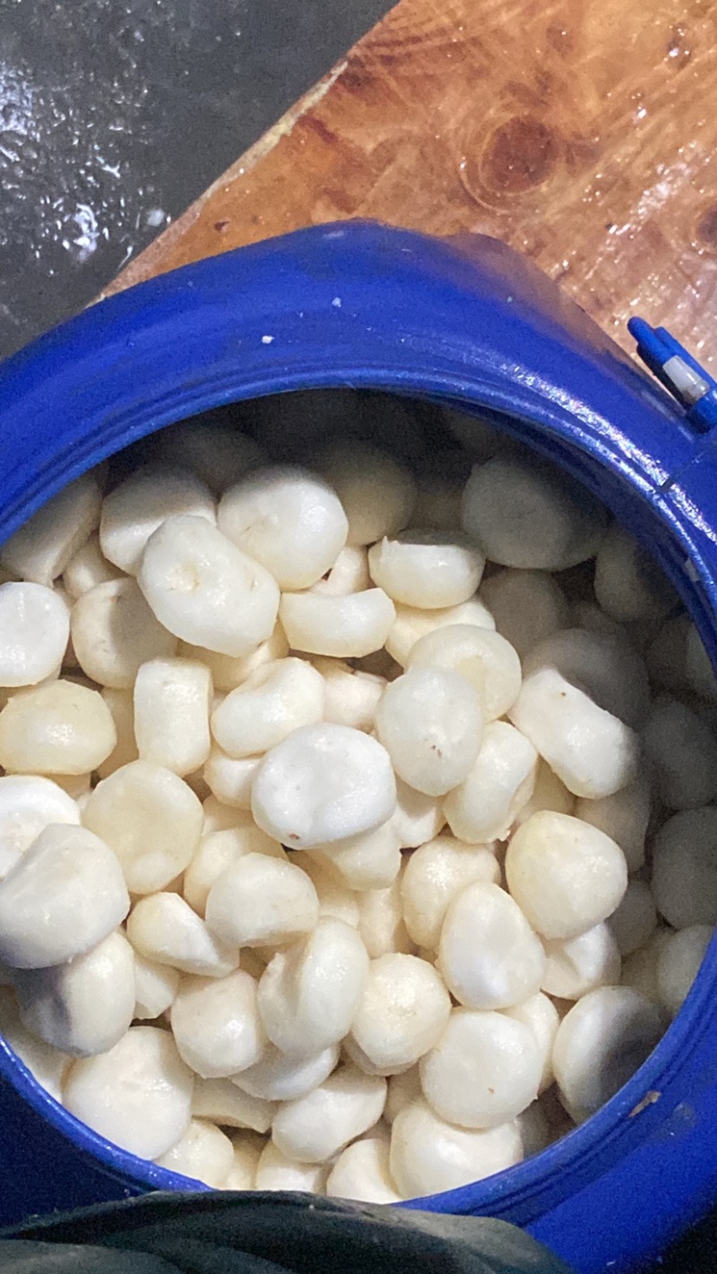 广西桂林荔浦水果白马蹄清脆多汁无渣价格优惠