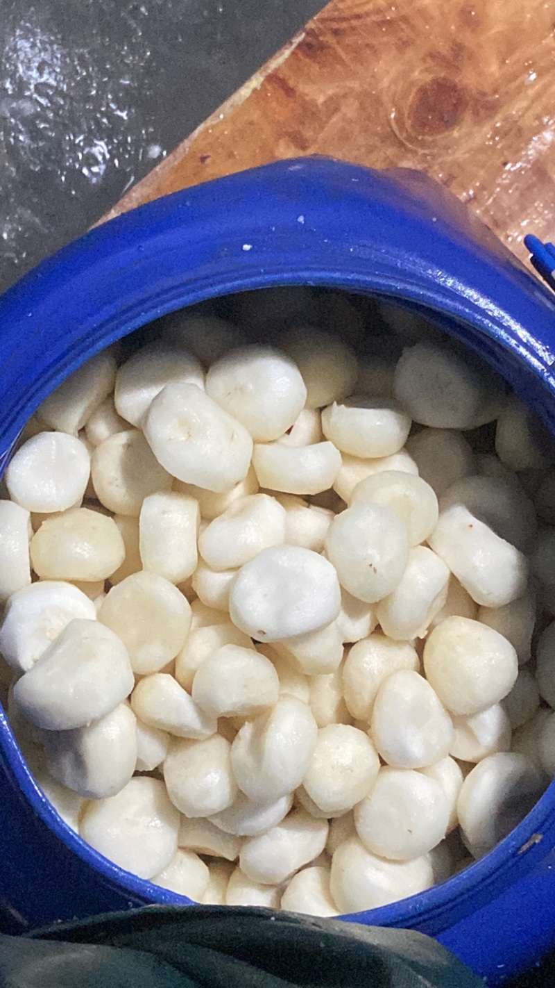 广西桂林荔浦水果白马蹄清脆多汁无渣价格优惠