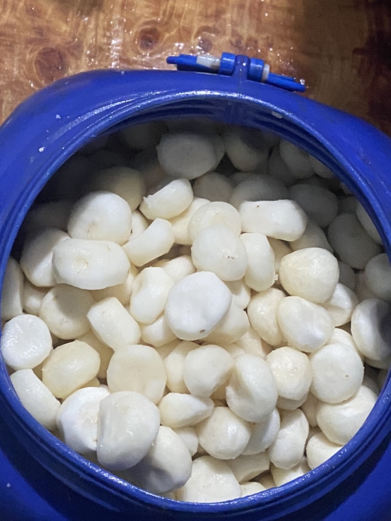 广西桂林荔浦水果白马蹄清脆多汁无渣价格优惠