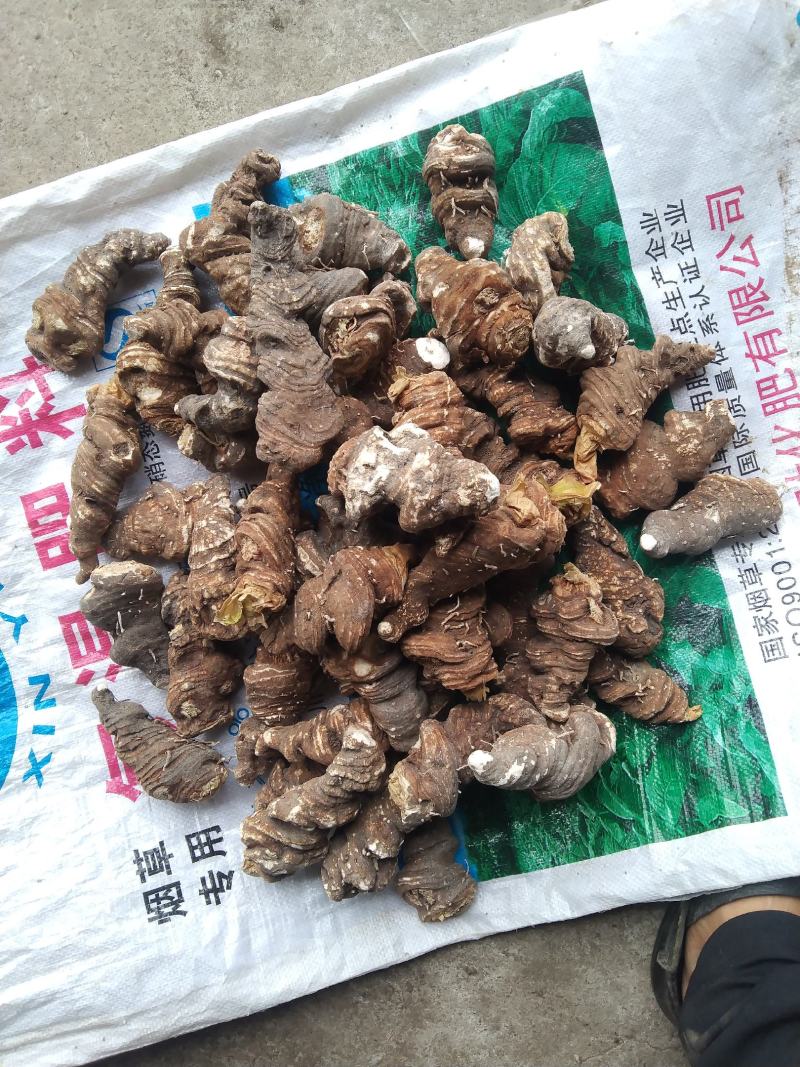 四川省什邡市众康合作社华重楼选装货