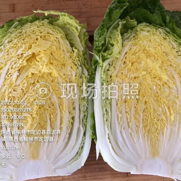 黄心白菜，，，西兰花，，，，甘蓝