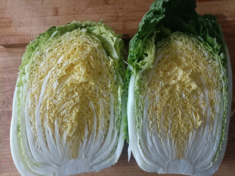 黄心白菜，，，西兰花，，，，甘蓝