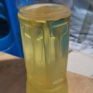 农家提炼薄荷油