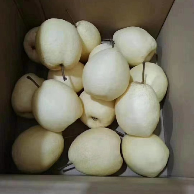 酥梨精品好货