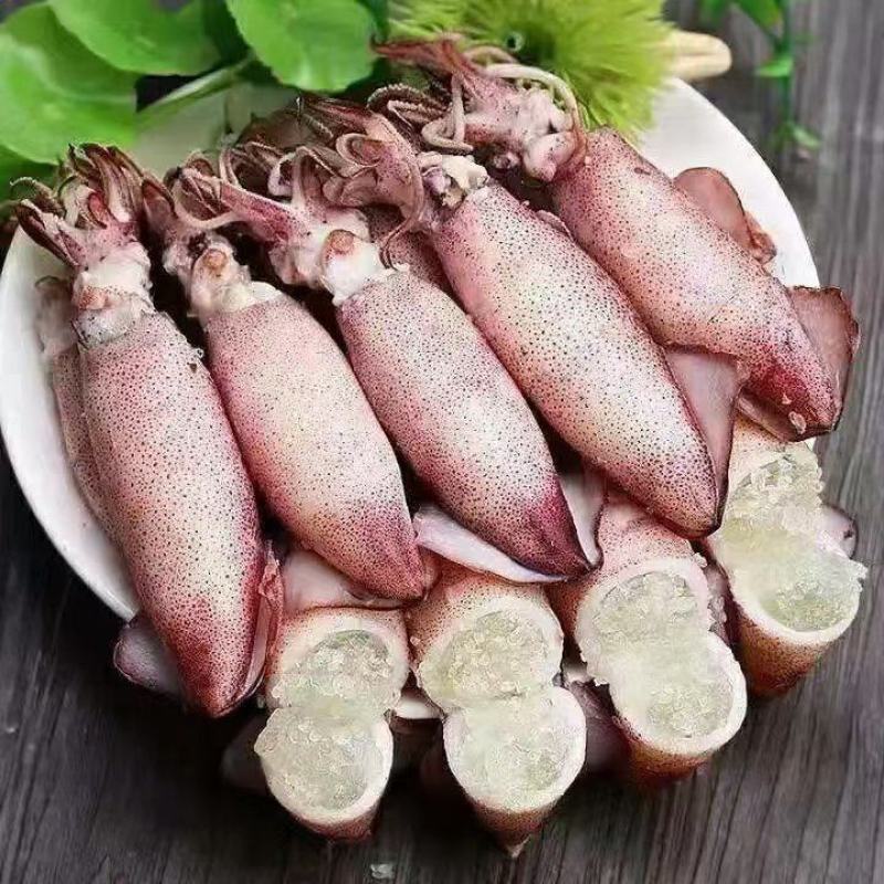 满籽海兔#籽乌#新鲜单冻海兔#笔管鱼