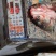 白鲢鱼头带肉1规格电商团购专用可提供免疫证明
