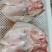 白鲢鱼头带肉1规格电商团购专用可提供免疫证明