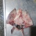 白鲢鱼头带肉1规格电商团购专用可提供免疫证明