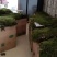 庭院必备